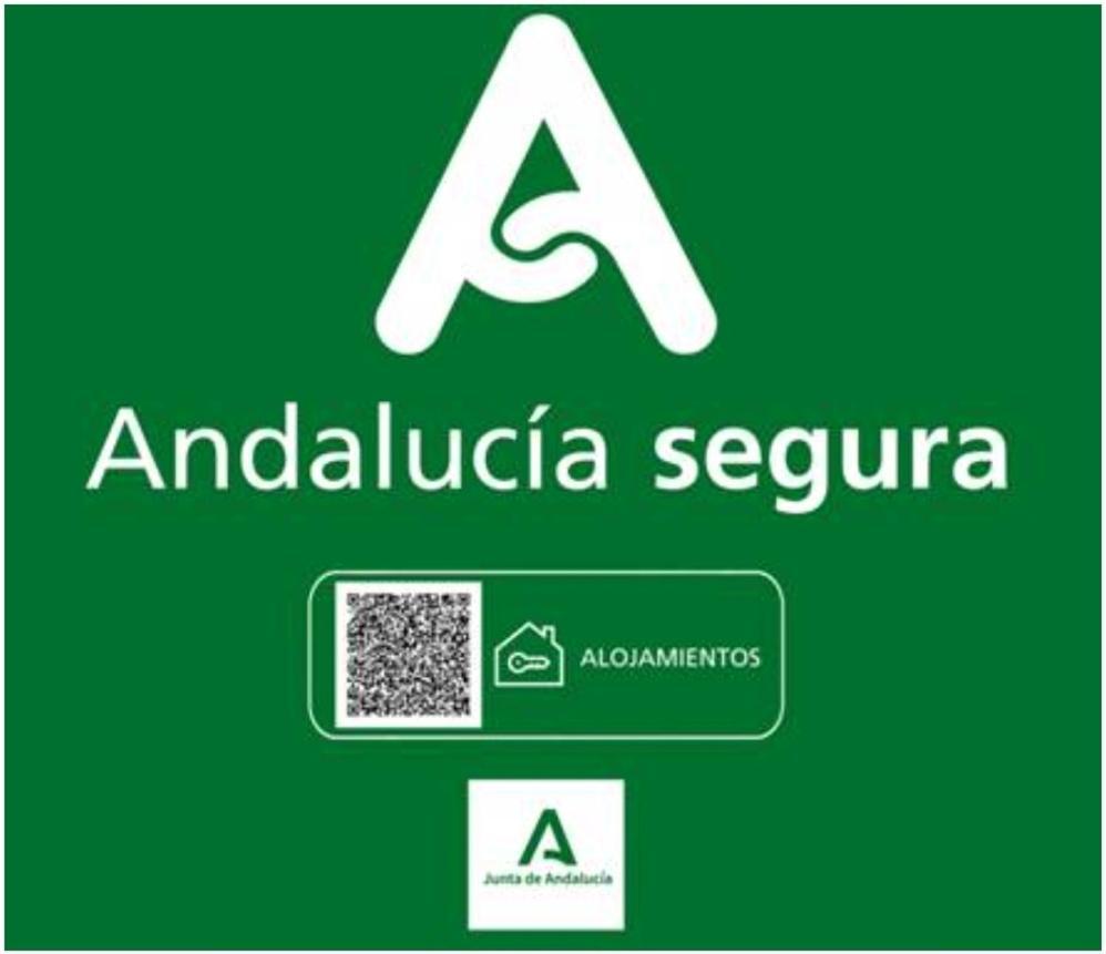 Todosierranevada Zona Baja - Apartamentos De 4 Dormitorios - Junto A Los Telecabinas Serra Nevada Exterior foto